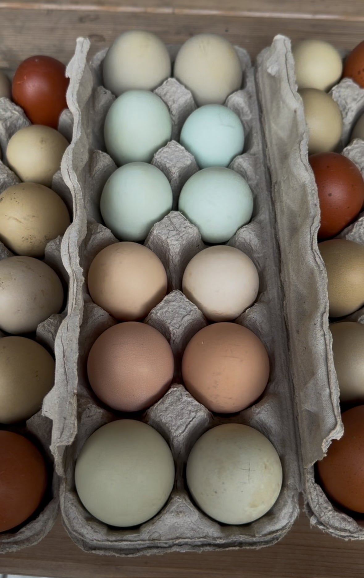 WB | Free-Range Eggs (1 Dozen)