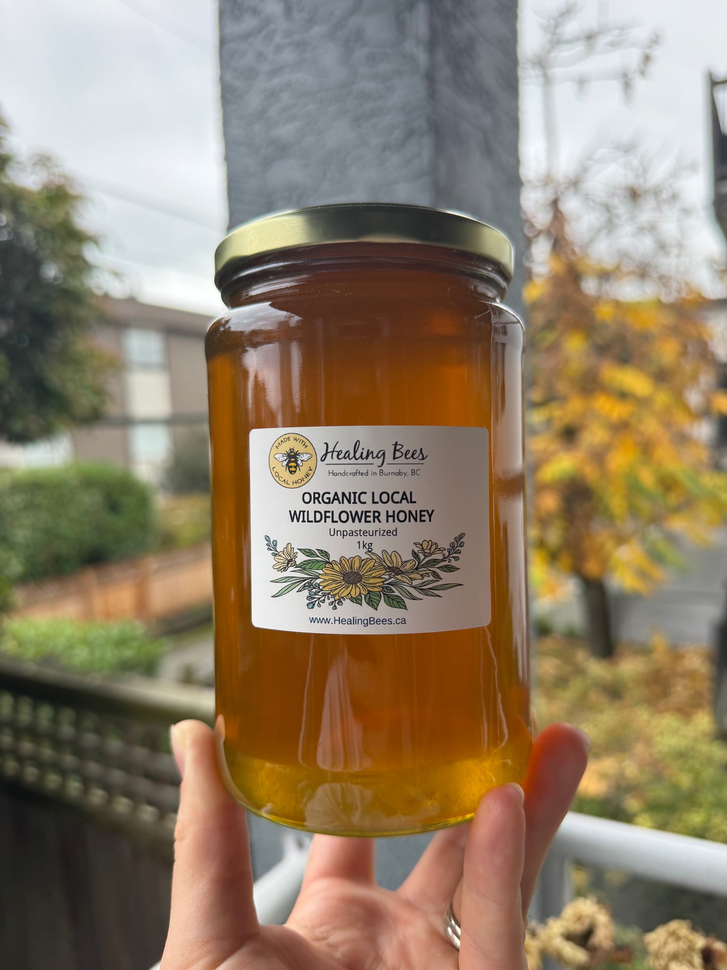 Organic Raw Unpasteurized Wildflower Honey 1kg