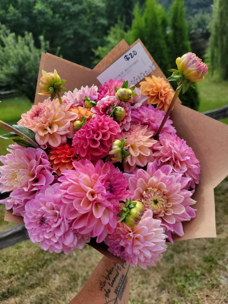 Flowers - Dahlia Bouquet