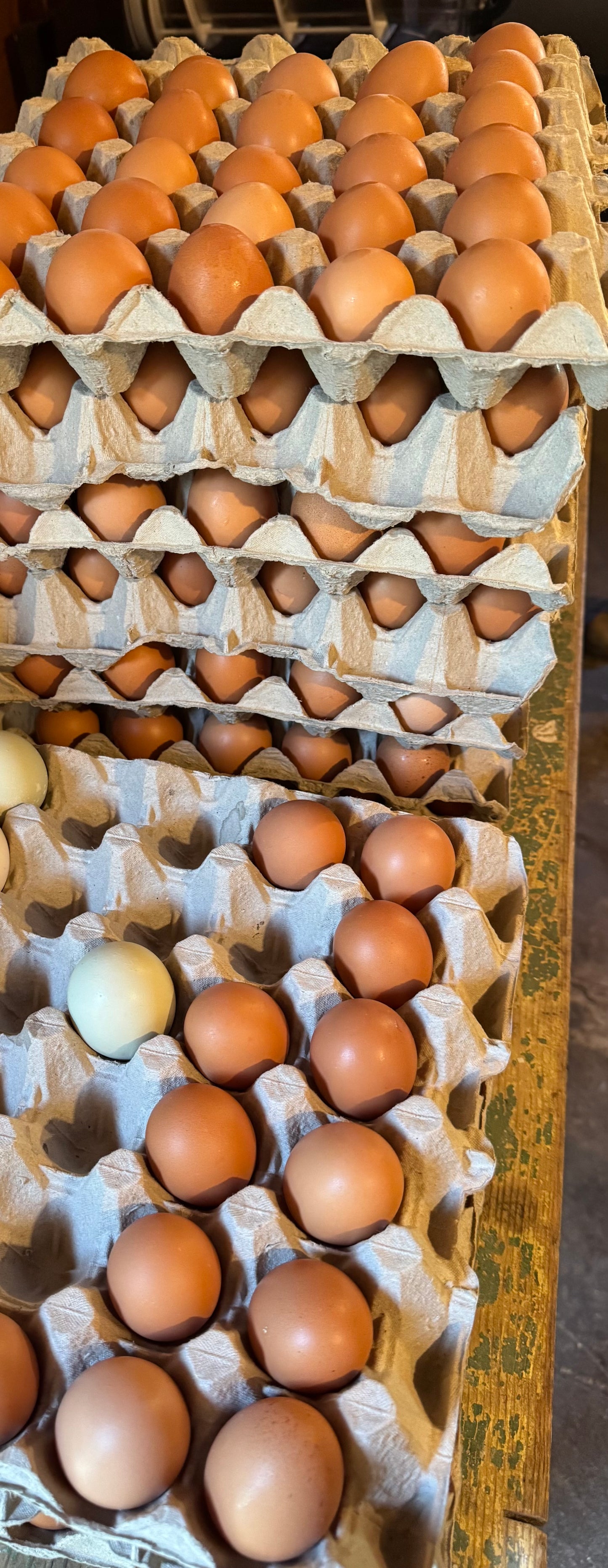 (Medium Size) Free-Range Eggs (1 flat / x30 eggs)