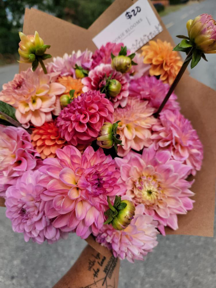 Flowers - Dahlia Bouquet