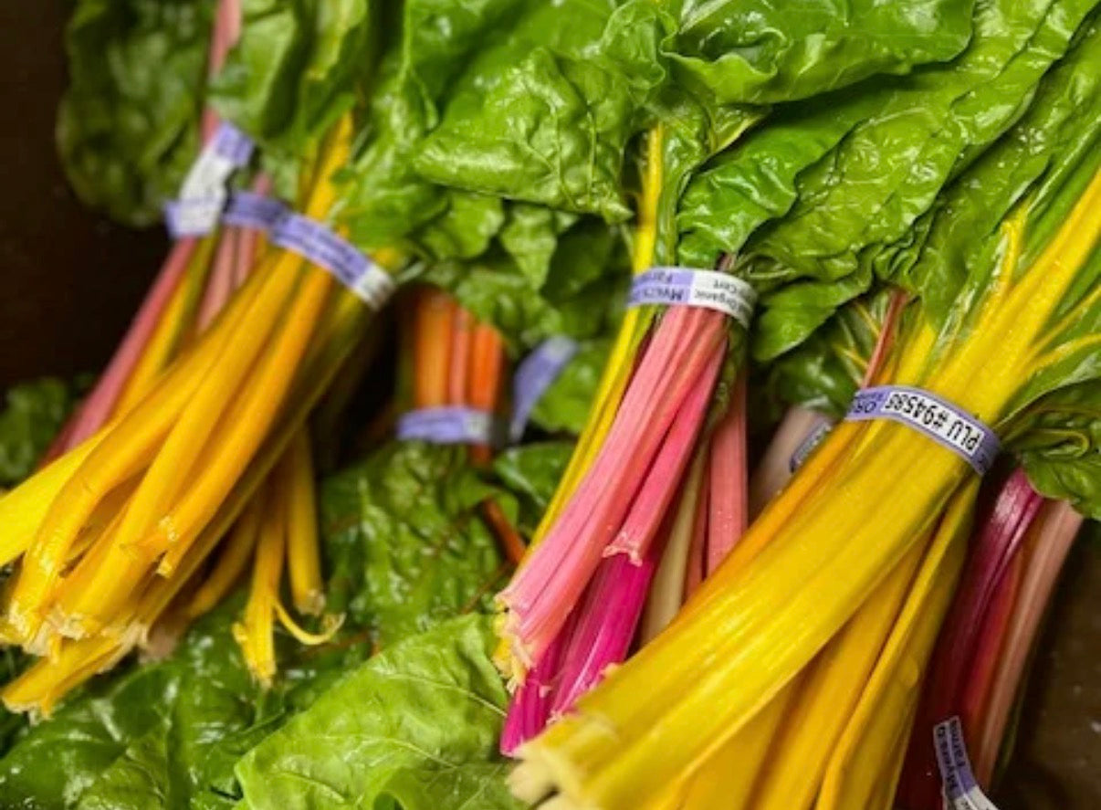 Organic Rainbow Chard