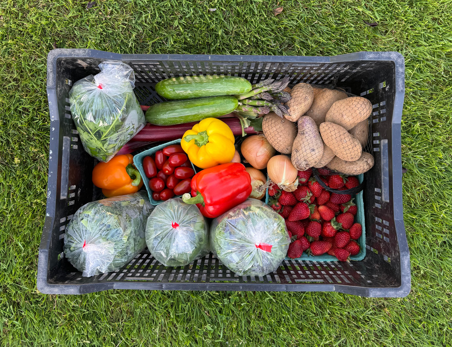 Harvest Box