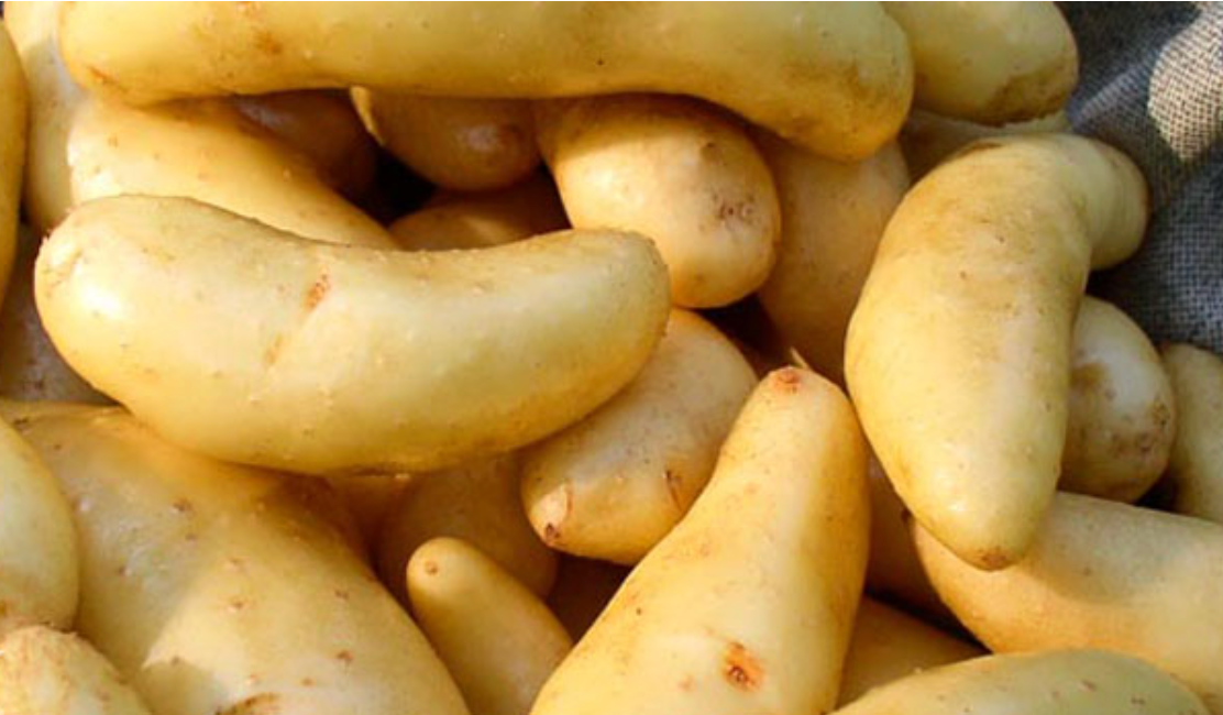 Organic Fingerling Potatoes - (Oct 3 Market)