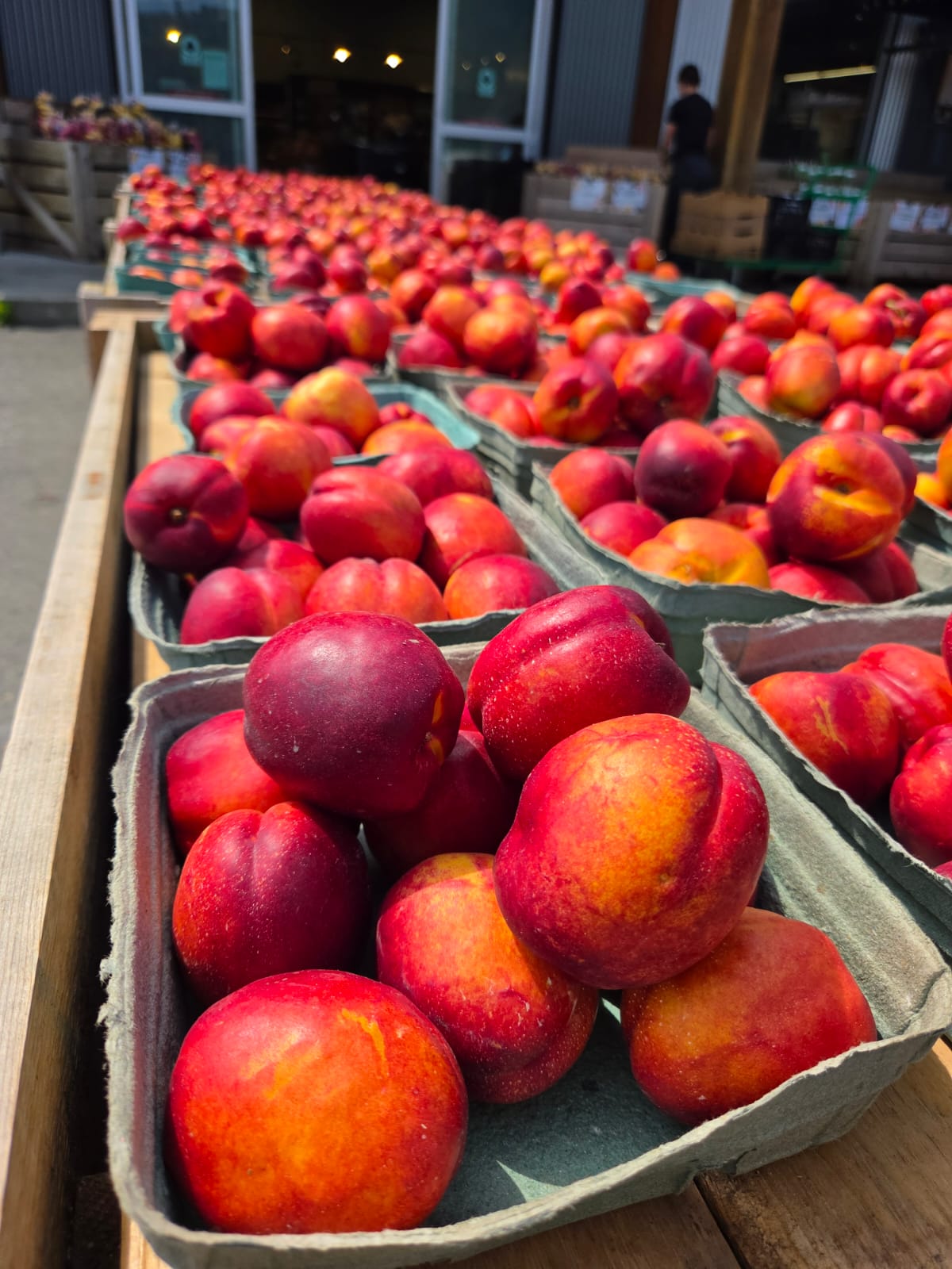 Organic Nectarines - 1lbs