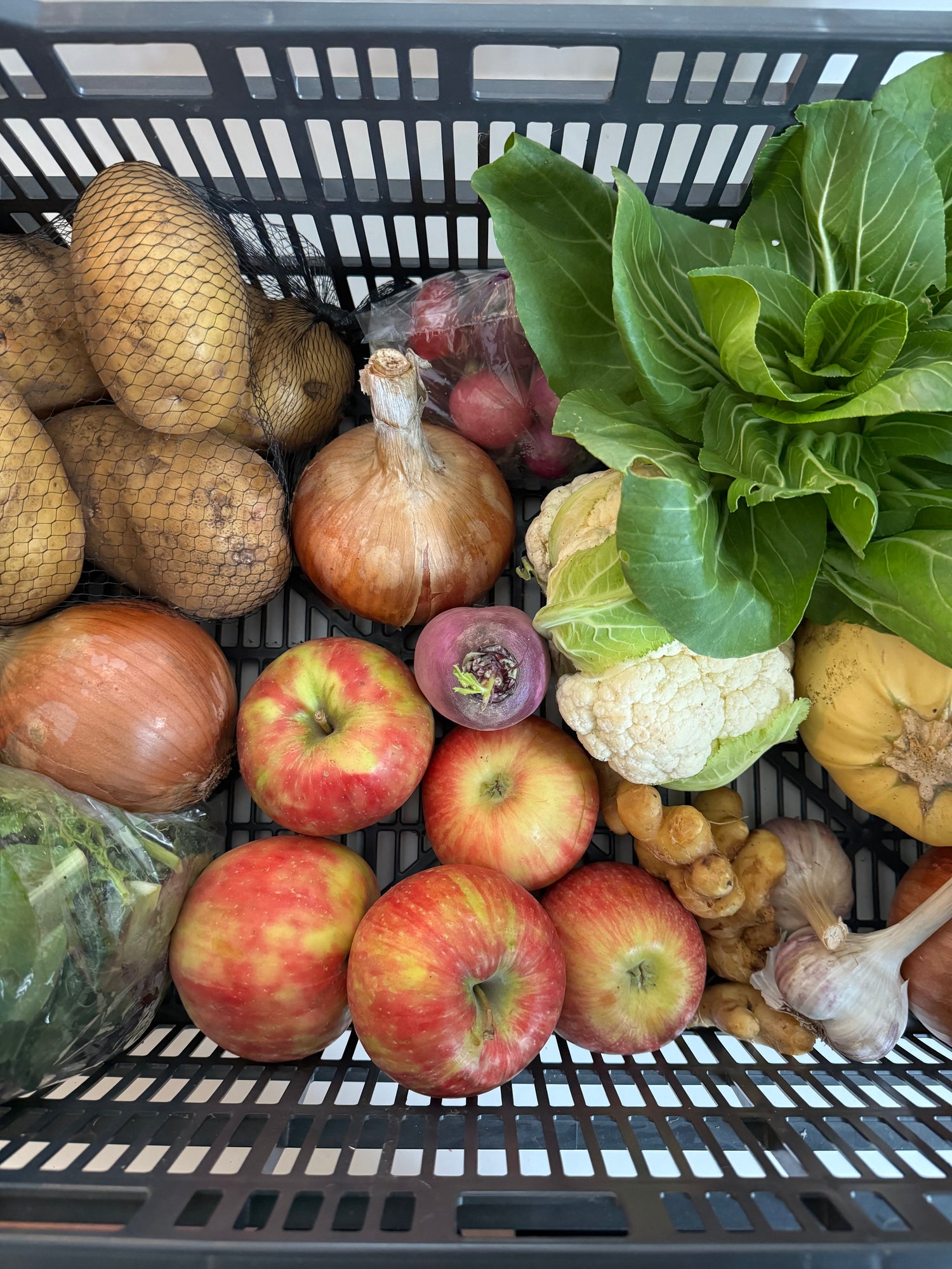Veg & Fruit