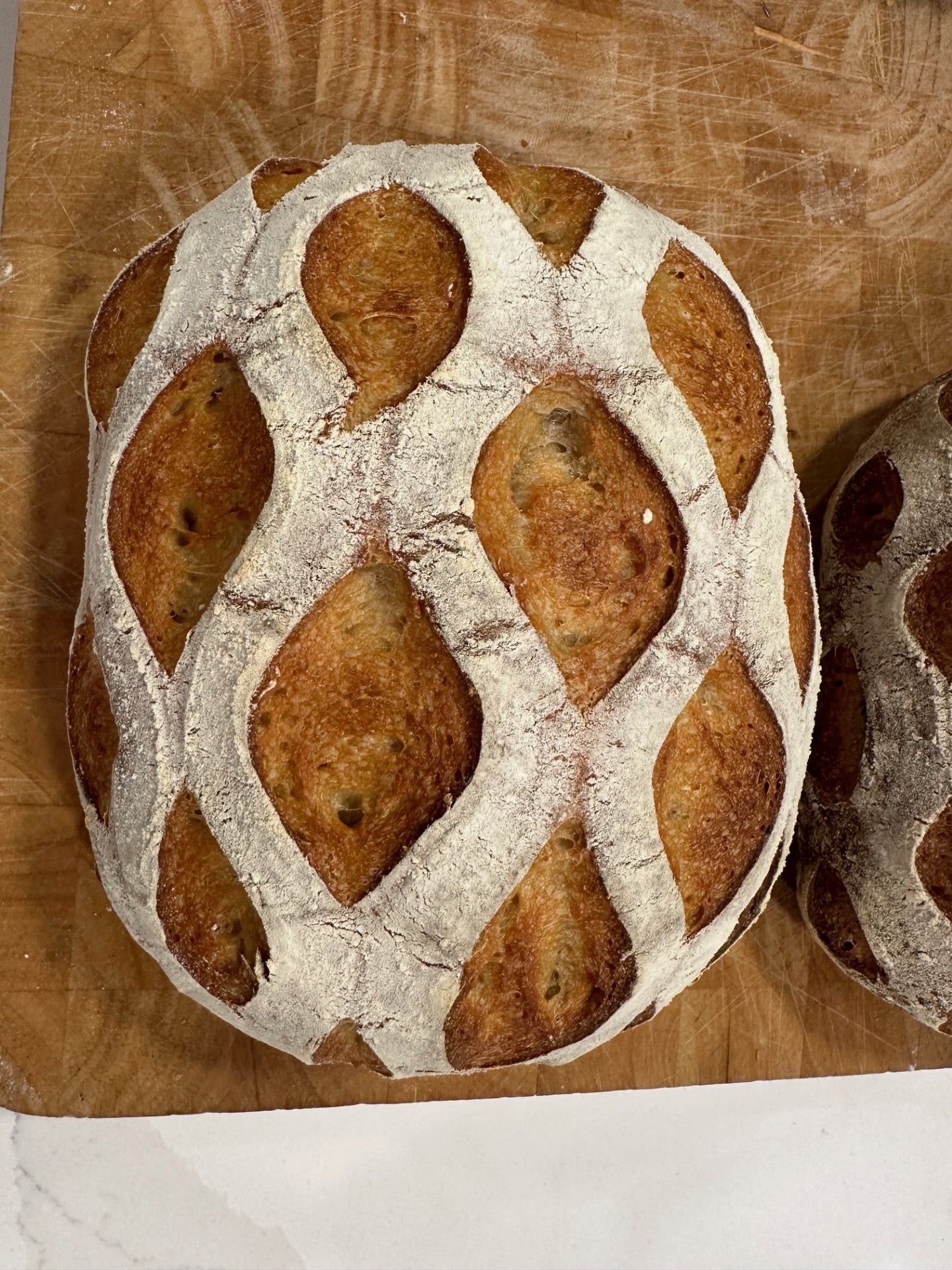 Organic Sourdough Starter