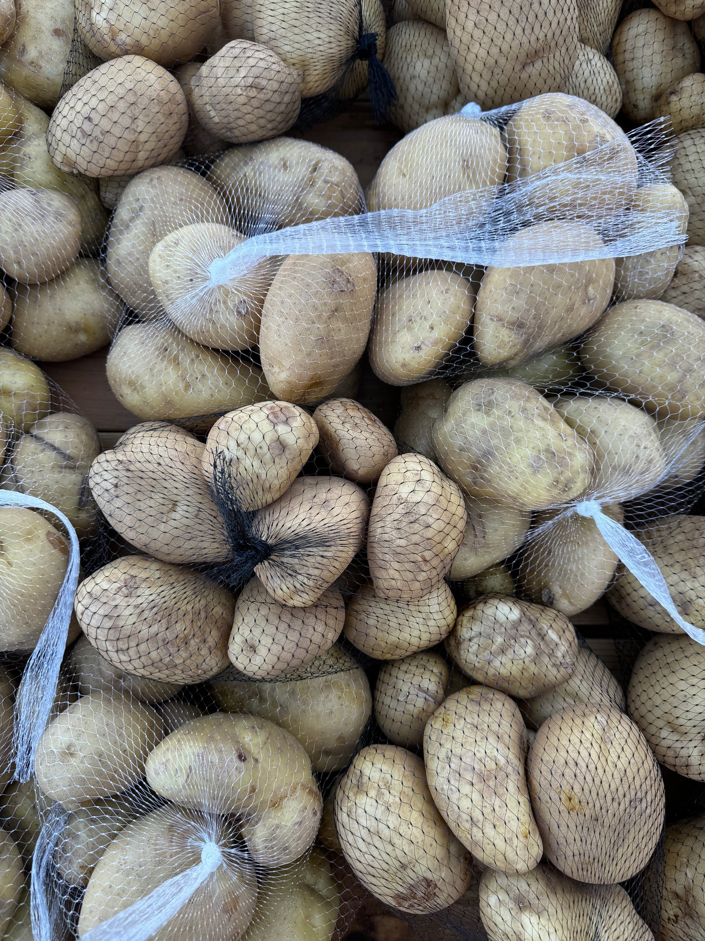 Kennebec Yellow Potato - 5lbs