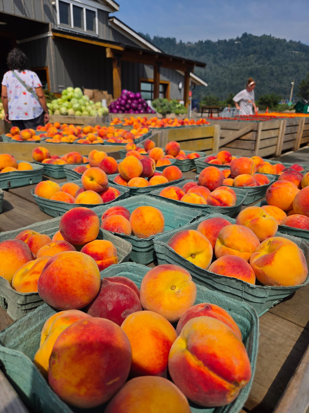 Organic Peaches  - 1lbs