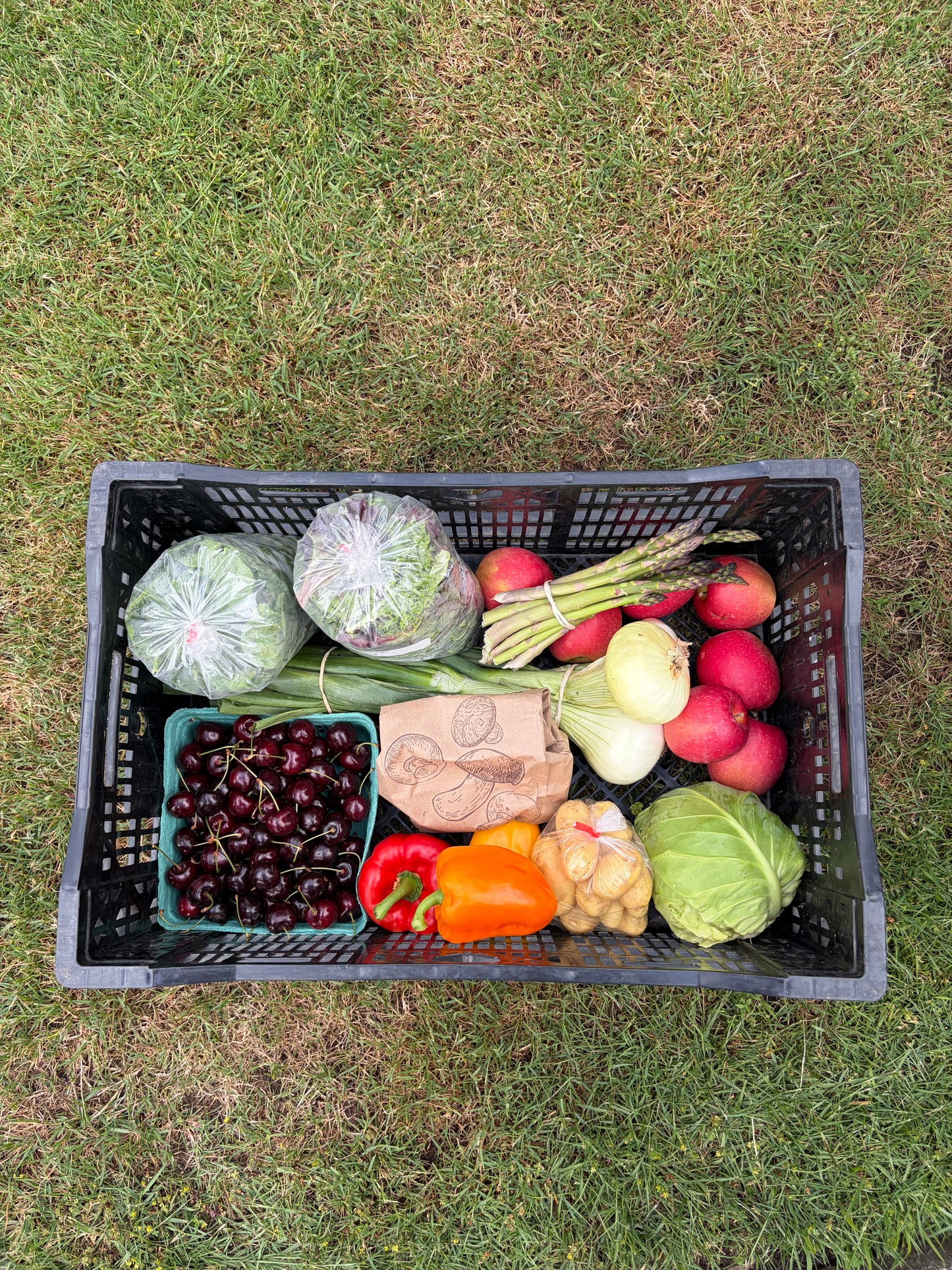 Harvest Box