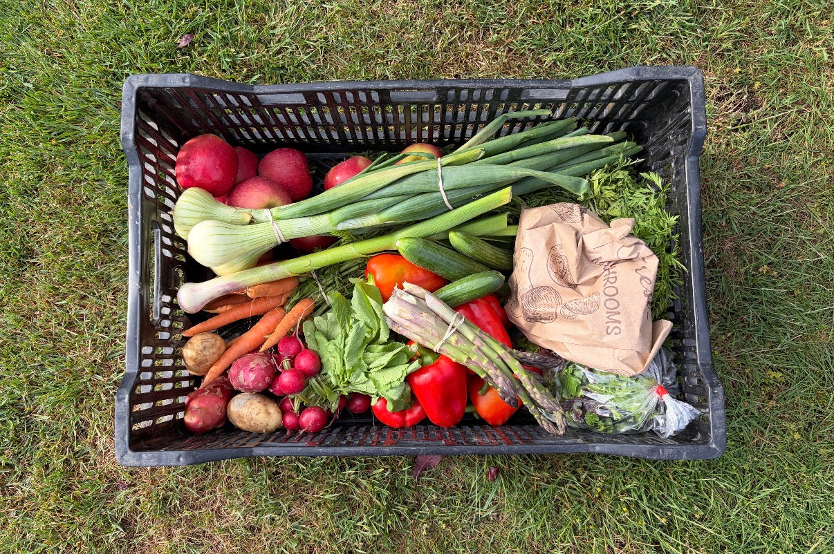 Harvest Box