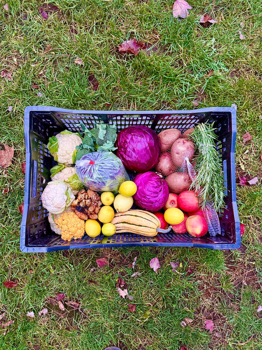 Harvest Box