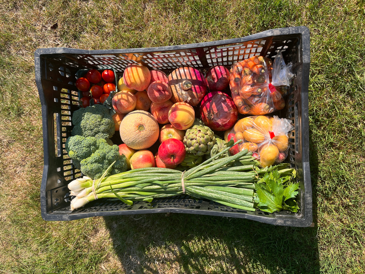 Harvest Box
