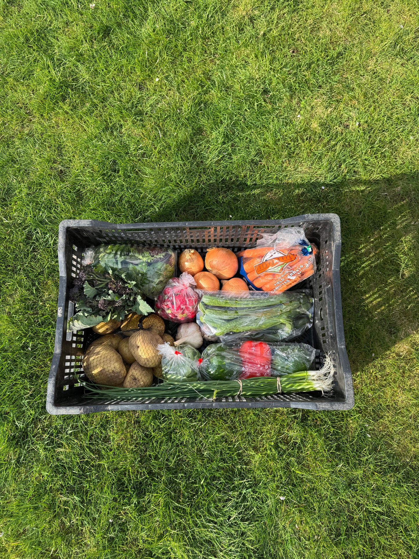 Harvest Box