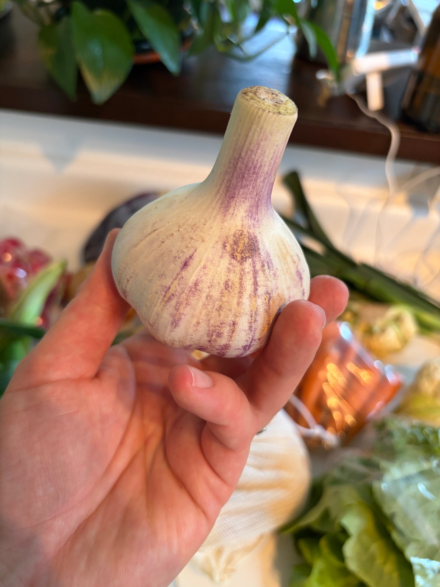 Organic Garlic - One Head