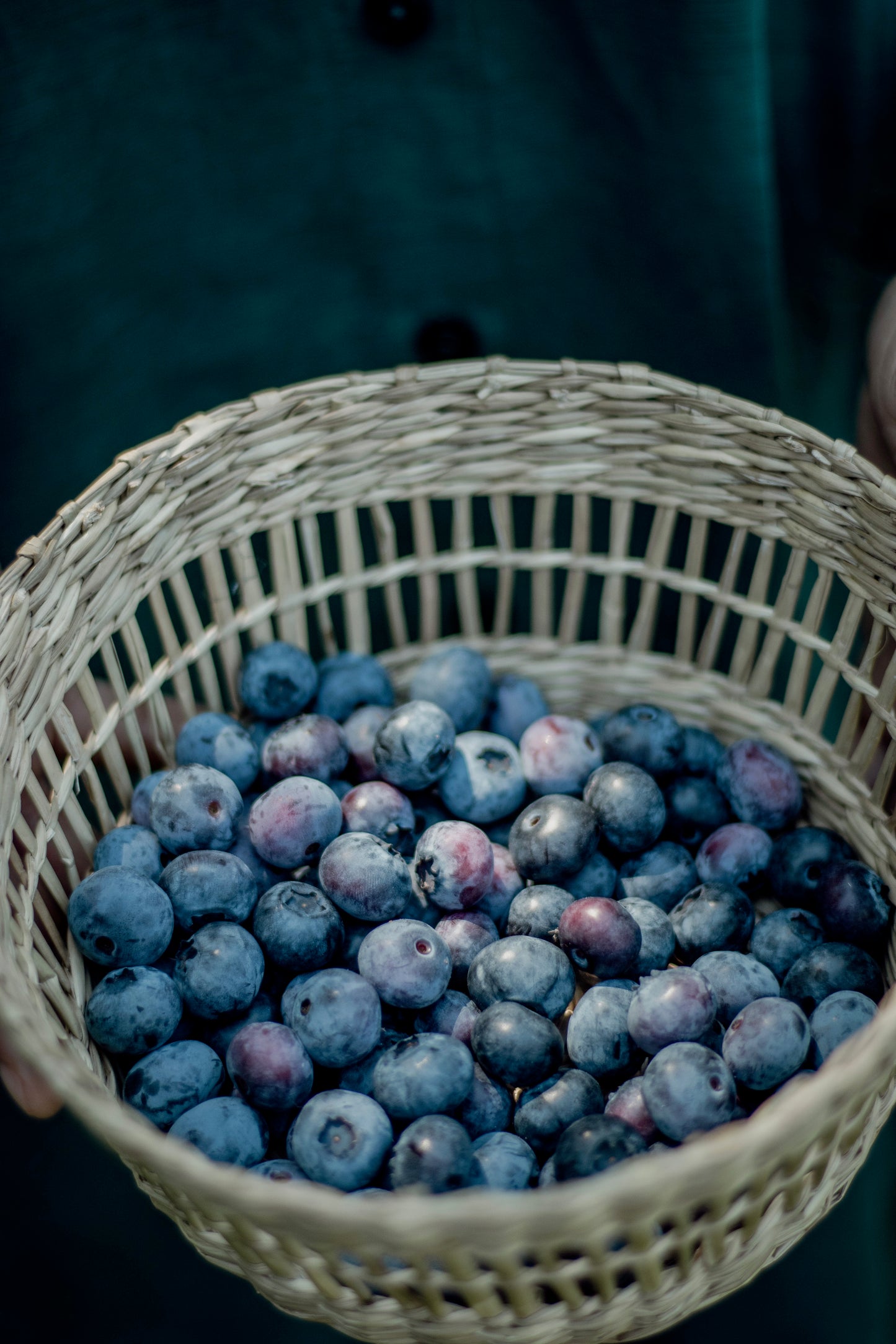 Organic Blueberries (10lbs box)
