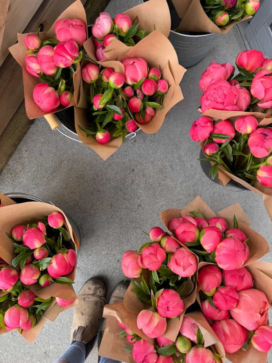 Fresh Flower Bouquets