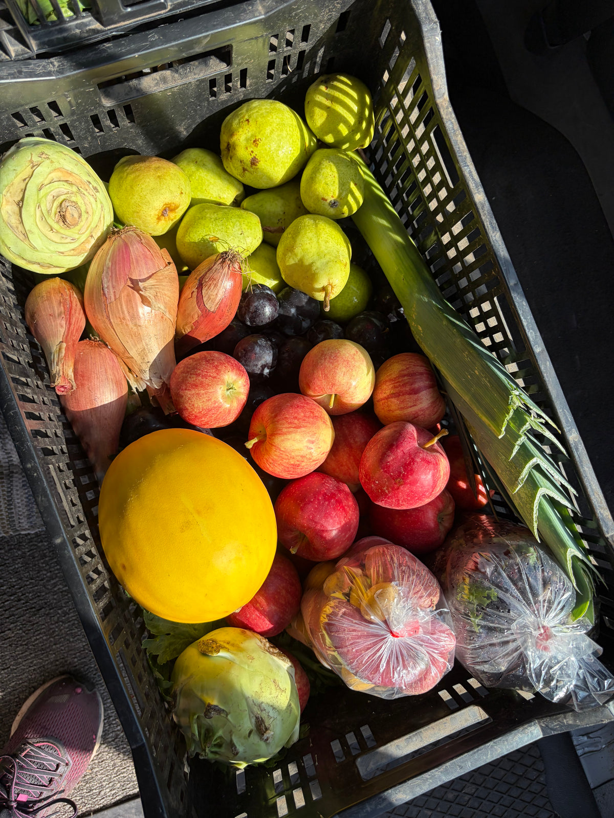 Harvest Box