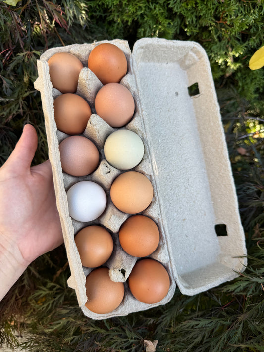 WB | Free-Range Eggs (1 Dozen)