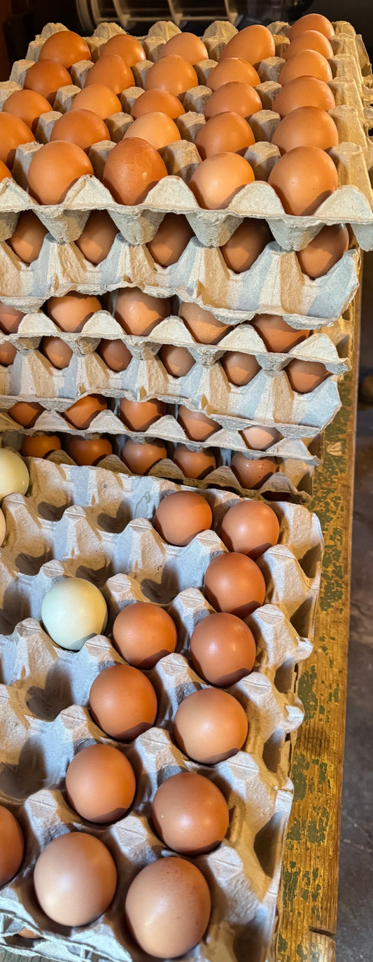 (Medium Size) Free-Range Eggs (1 flat / x30 eggs)