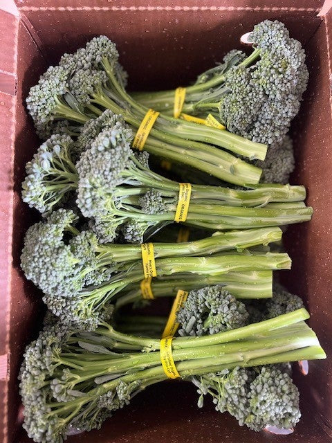 Organic Broccolini