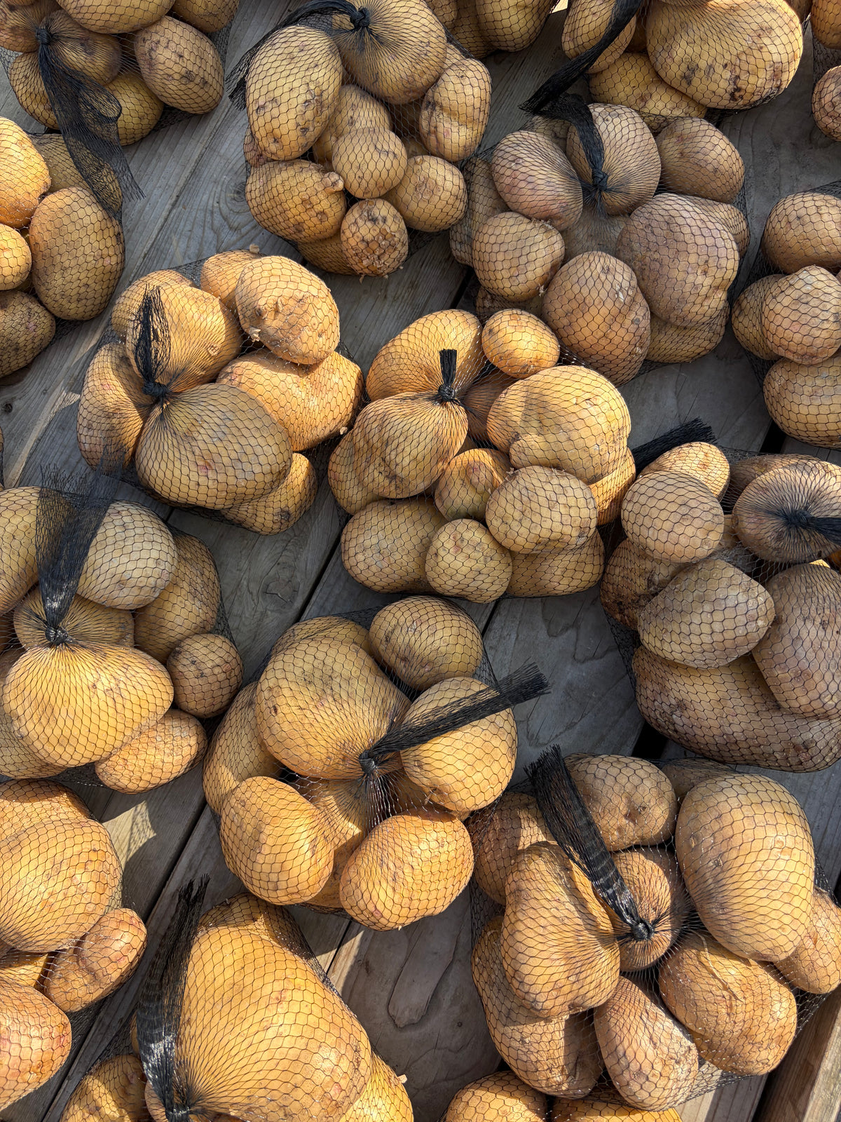 Yukon Gold Potato - 5lbs