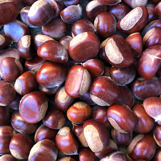 Chestnuts - 1lbs bag