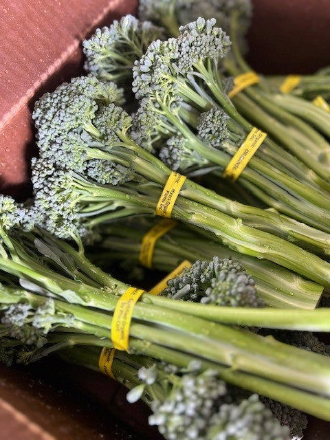 Organic Broccolini