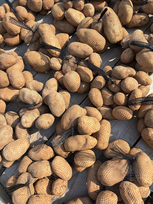 Russet Potato - 5lbs