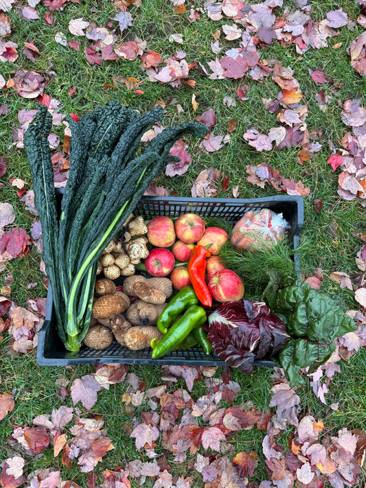 Harvest Box