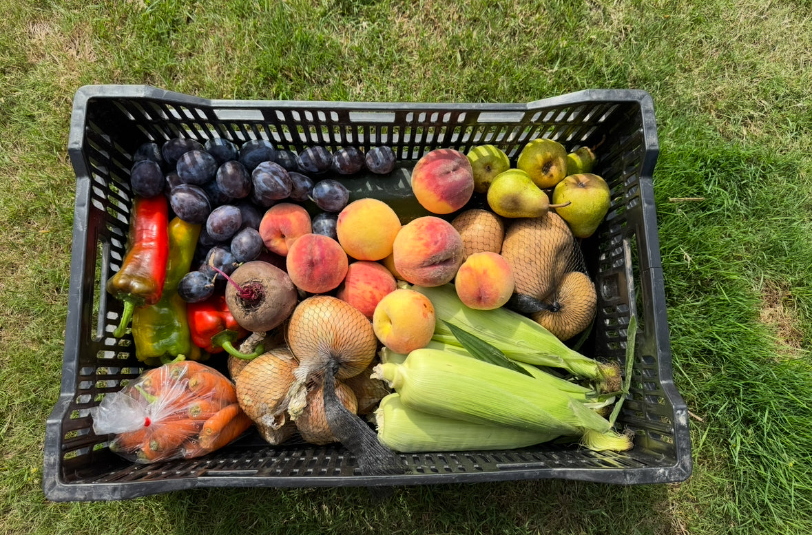 Harvest Box