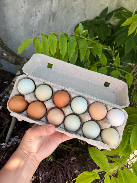 WB | Free-Range Rainbow Eggs (1 Dozen)
