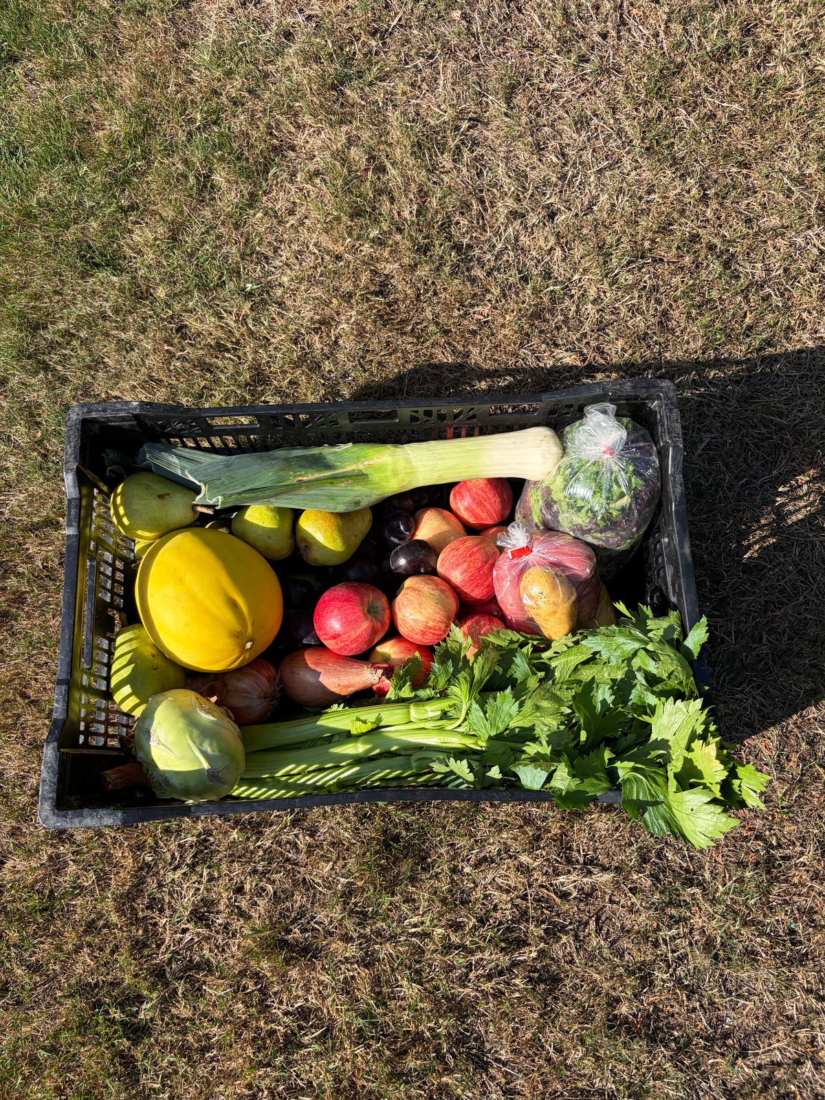 Harvest Box