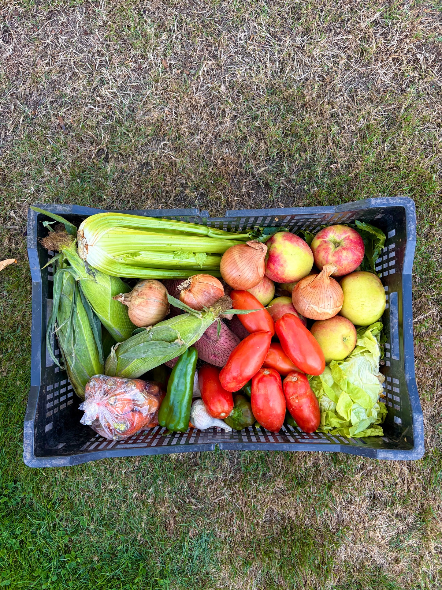 Harvest Box
