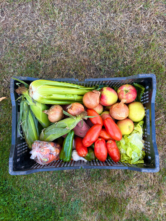 Harvest Box