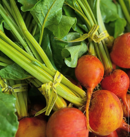 Organic Gold Beets