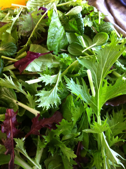 Salad Mix (baby brassica leaves)