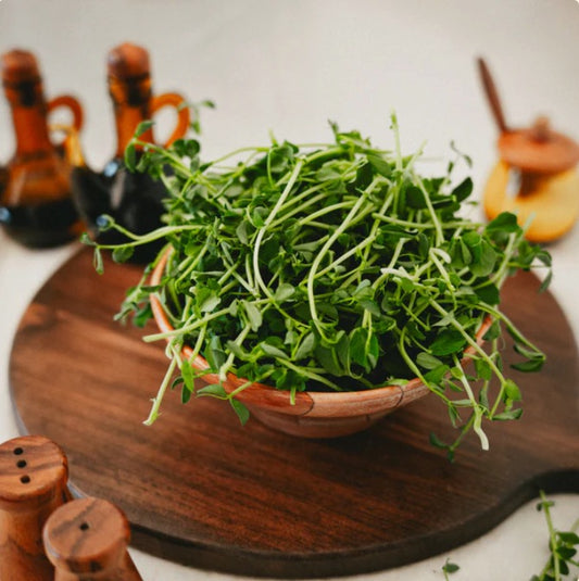 Pea Shoots - Microgreens