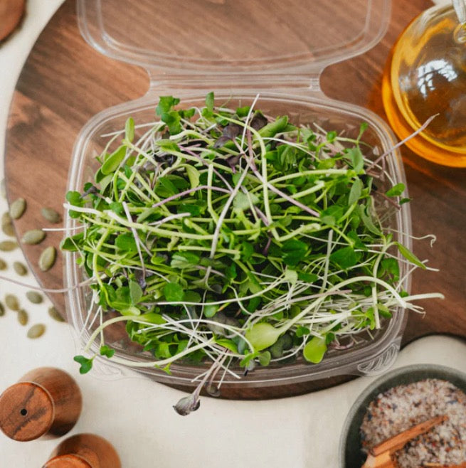 Spring Mix - Microgreens