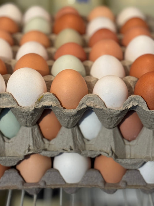 WB | Free-Range Eggs (1 flat / x30 eggs)