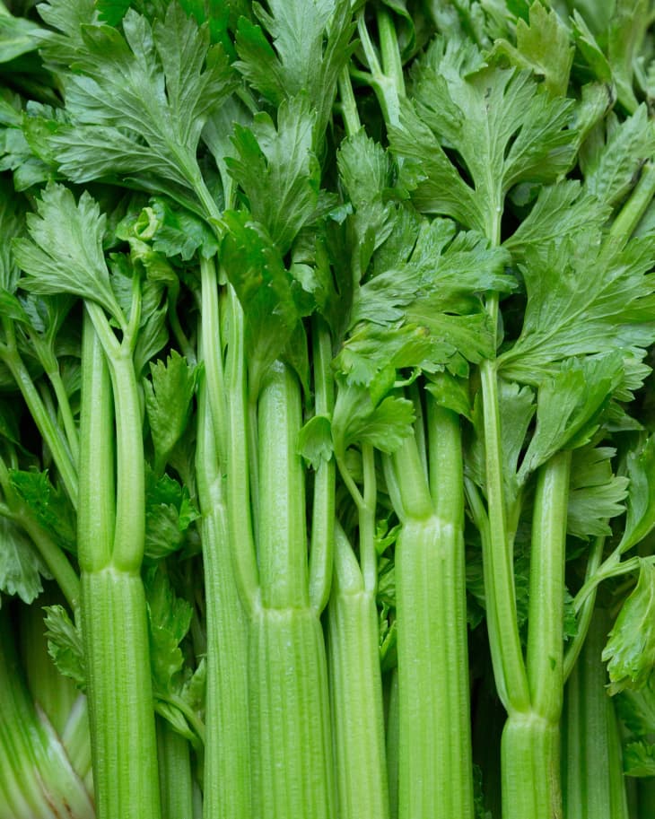 Celery - One Bunch