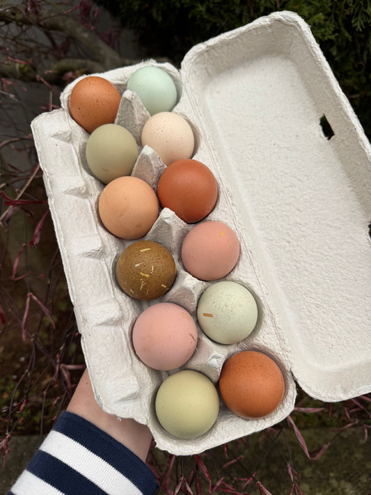 MB | Regenerative Pasture-Raised Eggs (1 Dozen)
