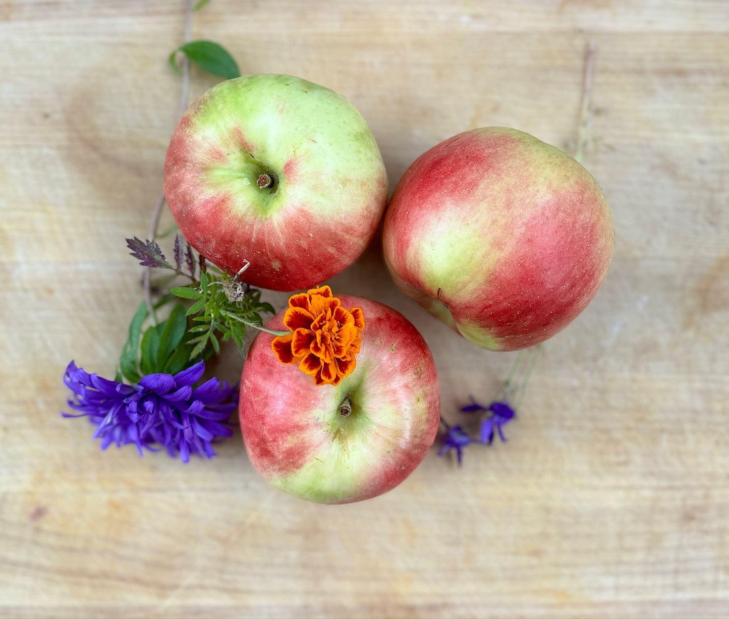 Harvest Box