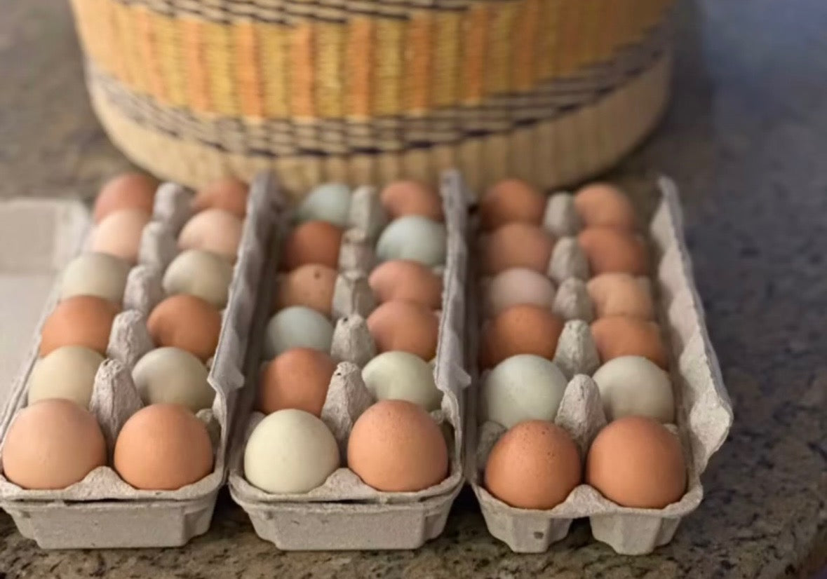 Free-Range Rainbow Eggs (1 Dozen)