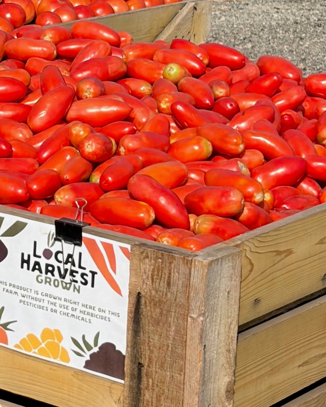 Organic Roma Tomatoes - 20lbs