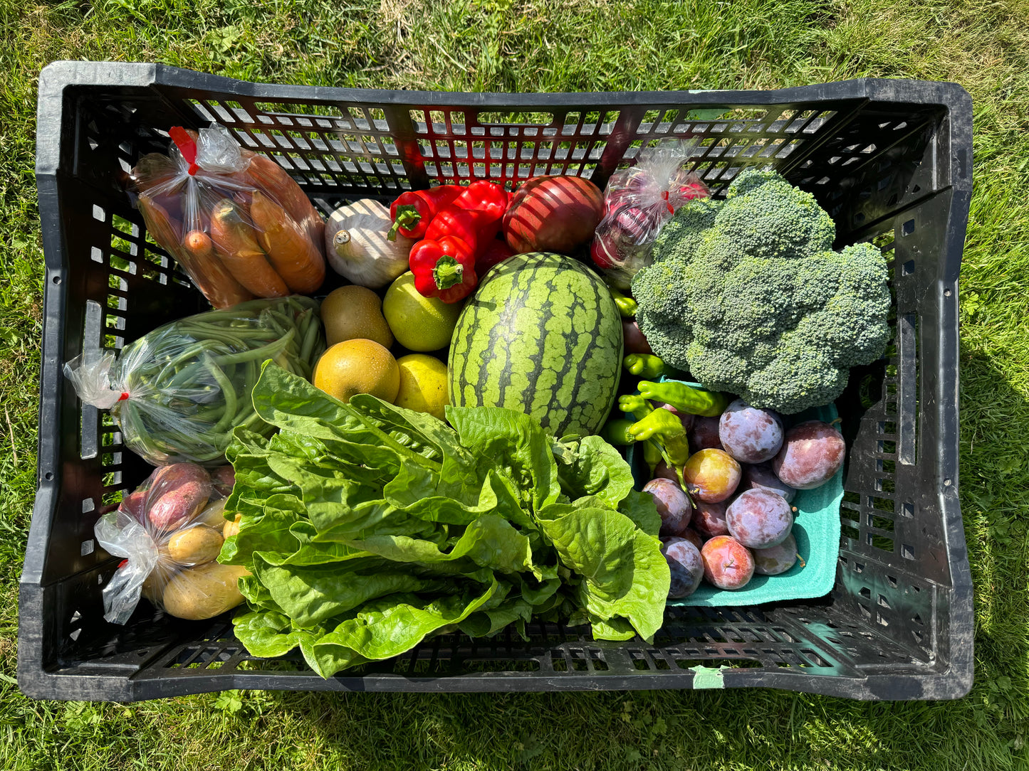 Harvest Box