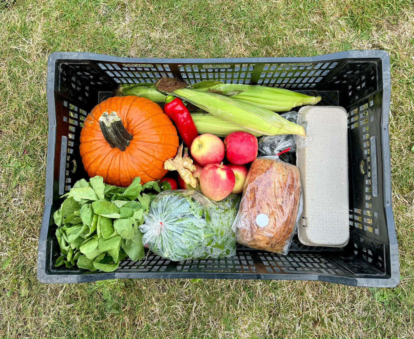 Combo Box - White Sourdough