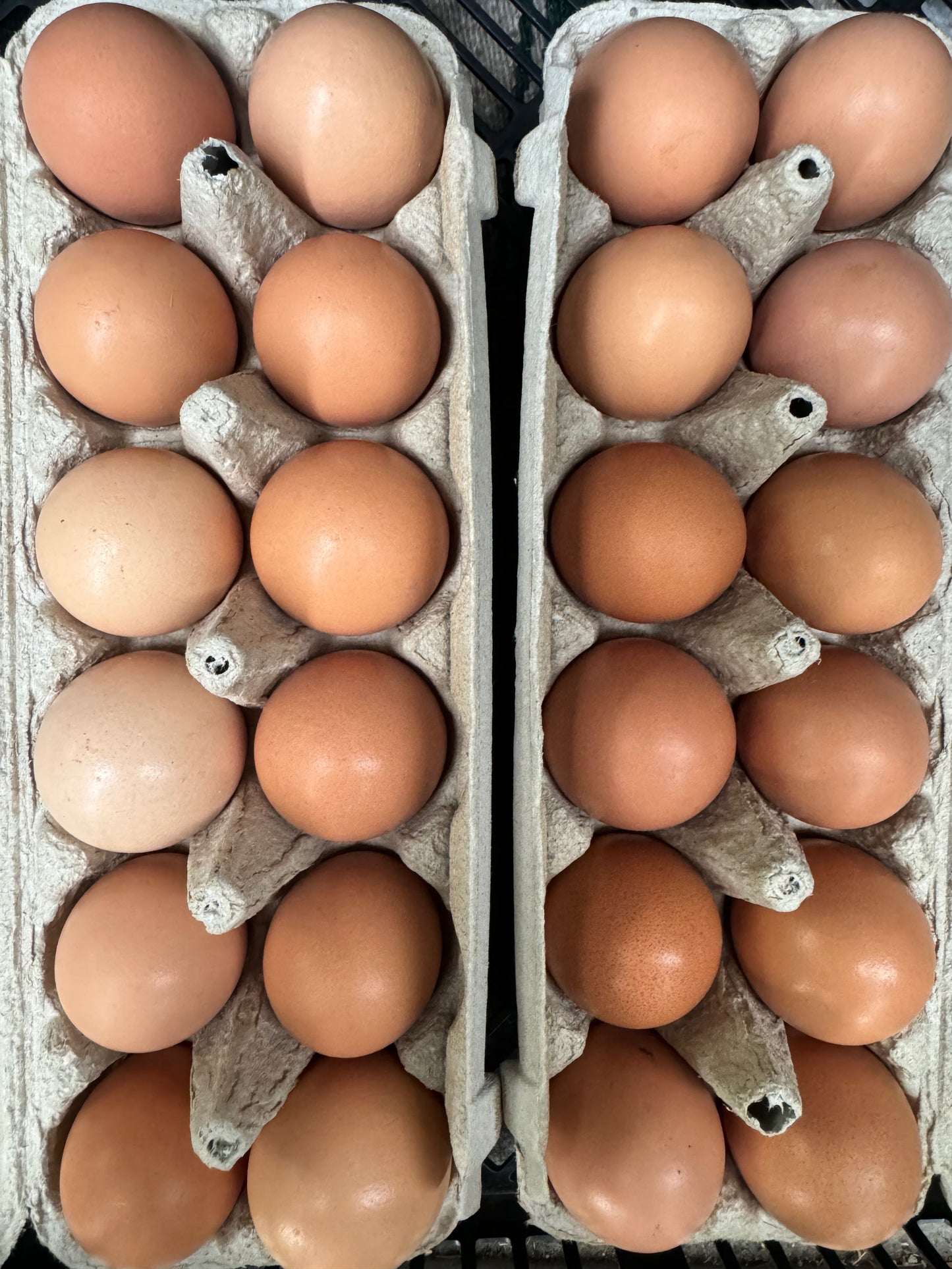 Free-Range Eggs (1 Dozen)