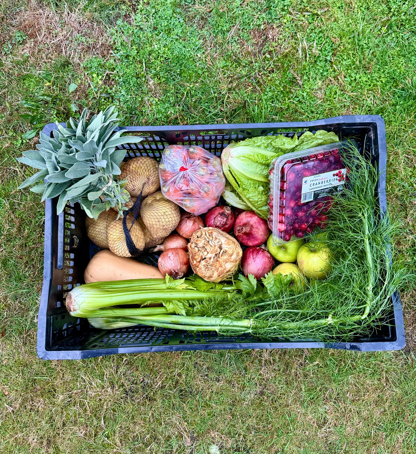 Harvest Box