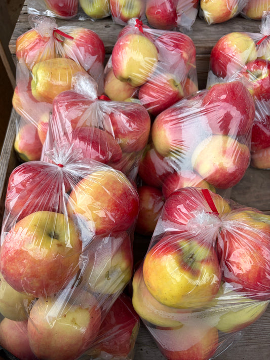 Organic BC Ambrosia Apples - 5lbs